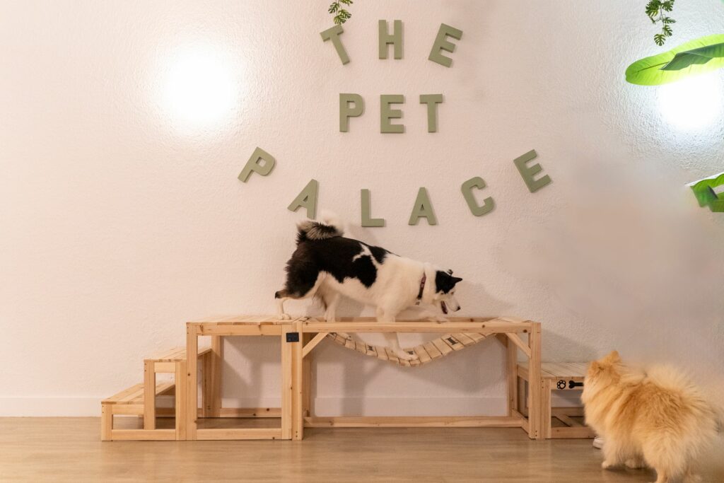 nathalie dulon photo annie frenot 20